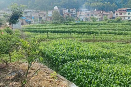 九游娱乐入口-下一代都不回农村，还有必要回老家建房吗？说回农村建房人傻的，才是真不懂